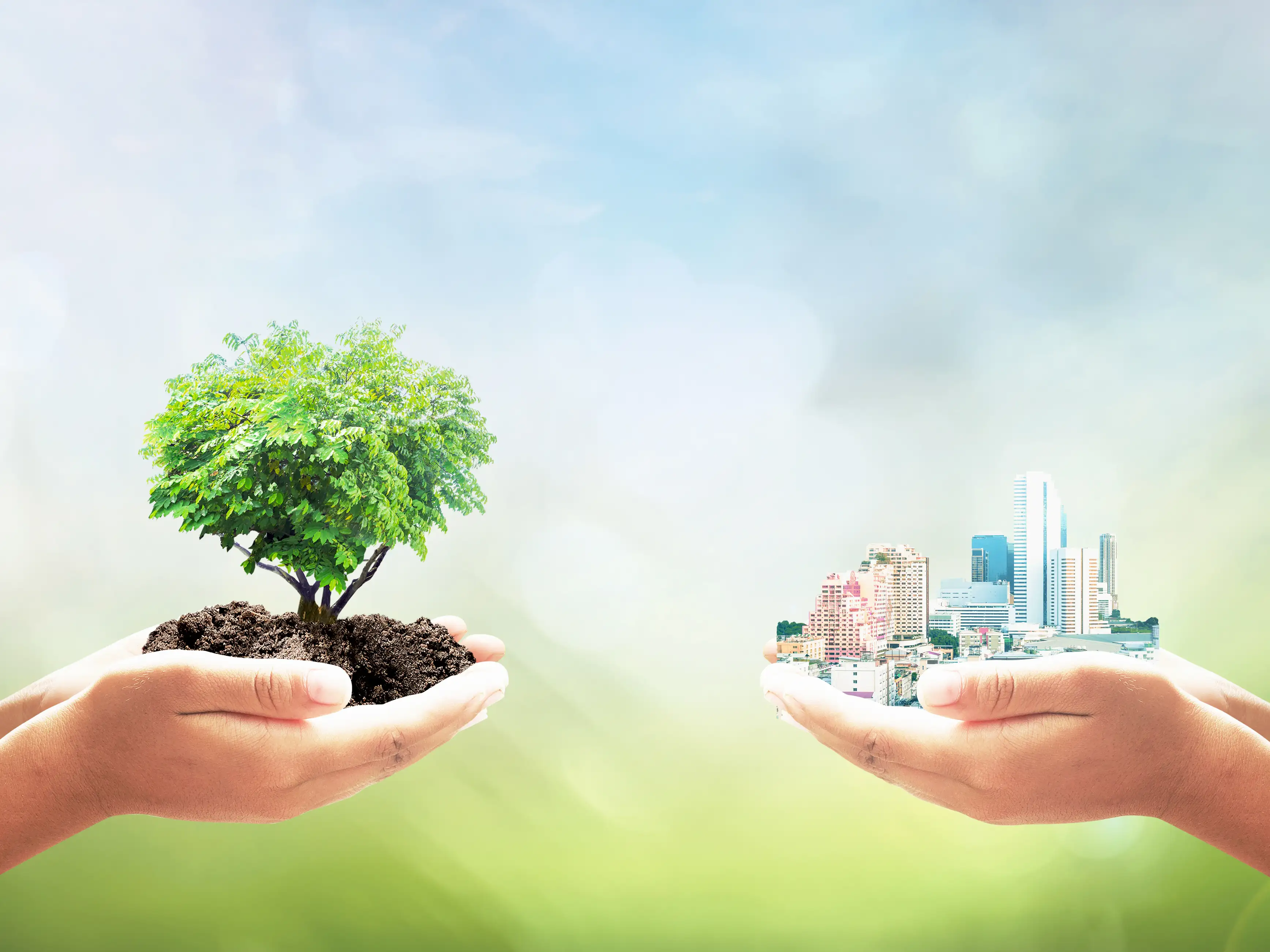 サステナブル調達