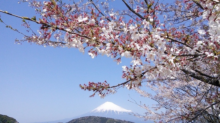 Mt.Fuji